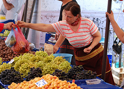 Farmer's Bazaar