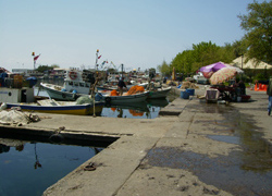 Harbour